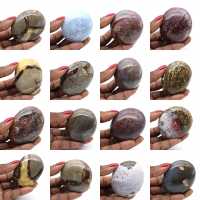 Orbicular jasper pebble