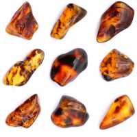Polished amber