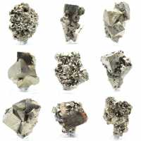 Crystallization of pyrite on base