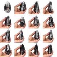 Orthoceras Fossil from Morocco