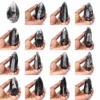 Orthoceras Fossil from Morocco