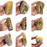 Bumblebee Jasper