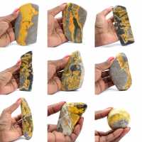 Bumblebee Jasper