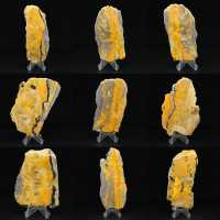 Bumblebee Jasper
