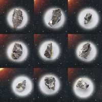 Campo del Cielo meteorite