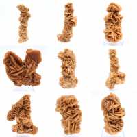 Natural mineral sand rose Tunisia Natural mineral sand rose Tunisia