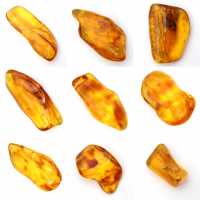 Yellow amber pebble from Lithuania for fossil collection