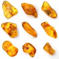 Yellow amber pebble from Lithuania for fossil collection Yellow amber pebble from Lithuania for fossil collection