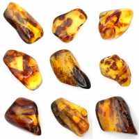 Small Polished Amber Pebble from Lithuania - Mineralogical Collection Small Polished Amber Pebble from Lithuania - Mineralogical Collection