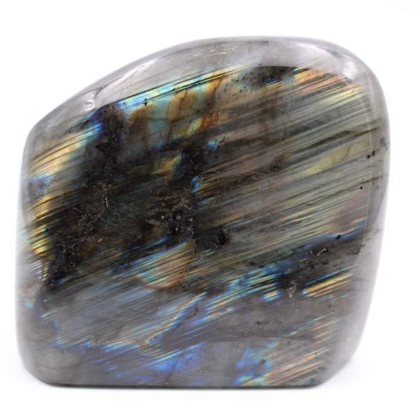Polished labradorite for collection