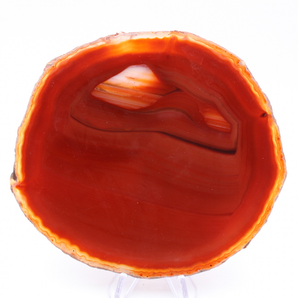 Slice of orange agate