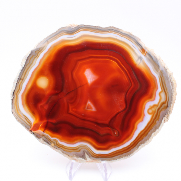 Slice of red agate