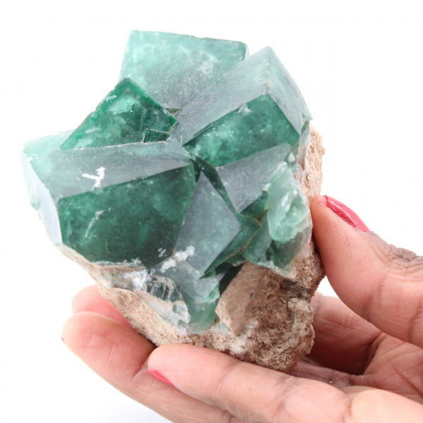 Cubic crystals of green fluorite on massive fluorite