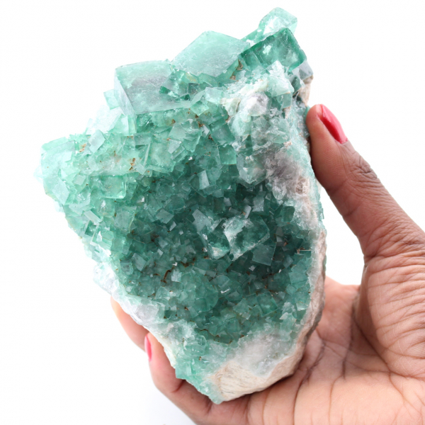 Cubic crystals of green fluorite on massive fluorite