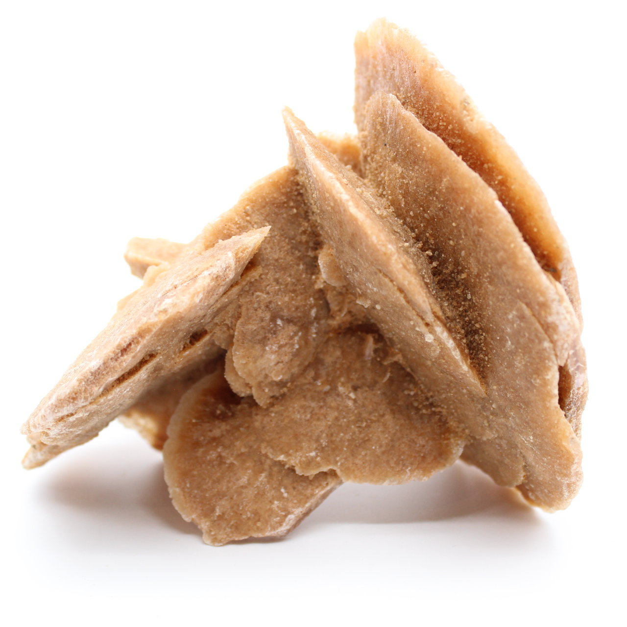 Desert Rose
