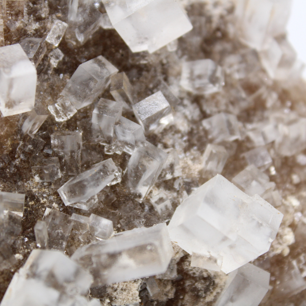 Rock salt crystals
