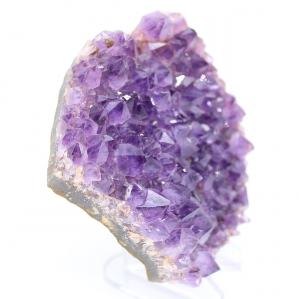 Plate of Amethyst Crystals