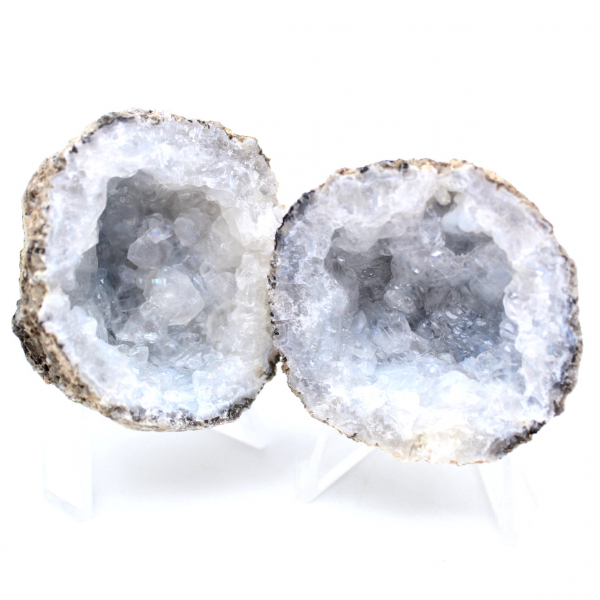 Whole coconut agate geode