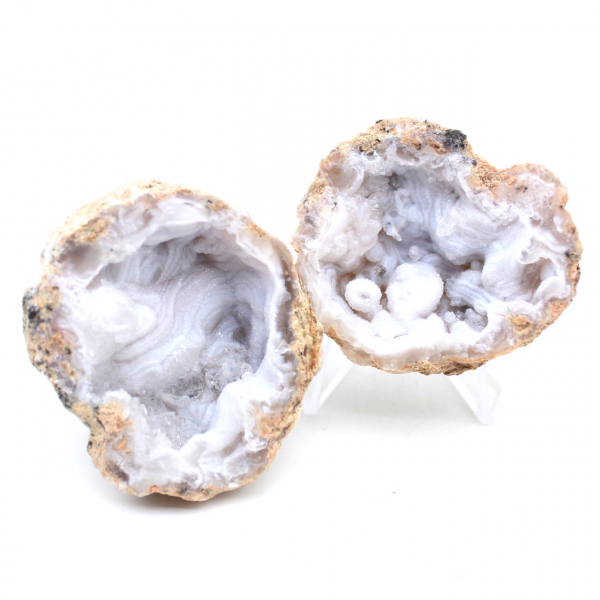 Whole coconut agate geode