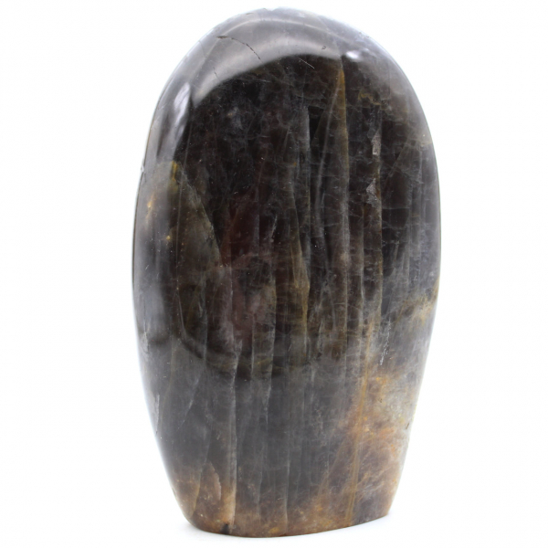 black polished microline moonstone from Madagascar