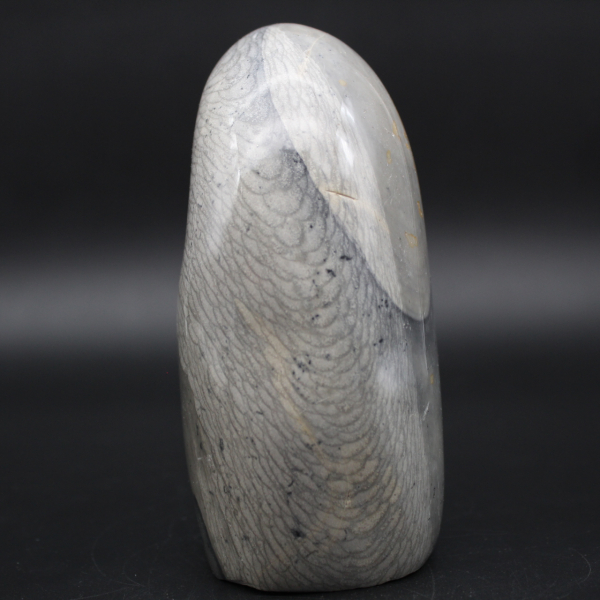Gray ribbon jasper stone freeform