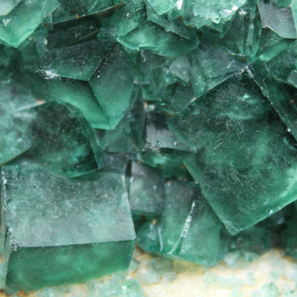 Nearly 4 kilo crystallized green fluorite cubes