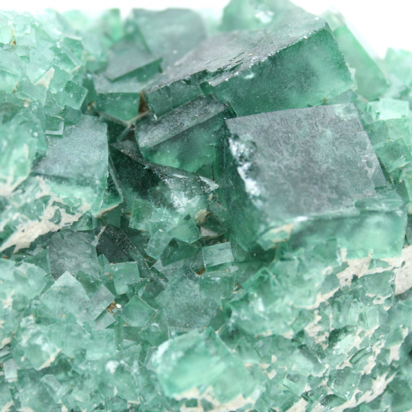 Crude fluorite crystals on matrix