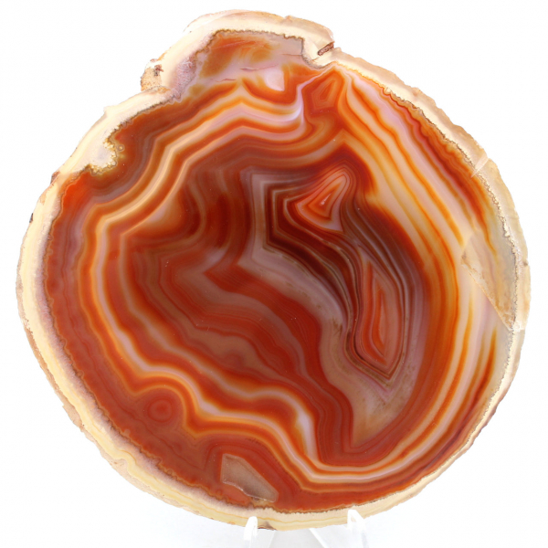 Natural rock agate from Brazil