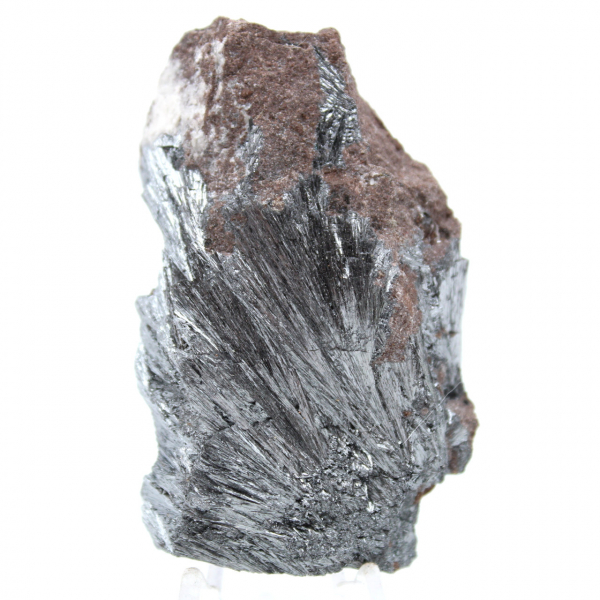 Pyrolusite for collection
