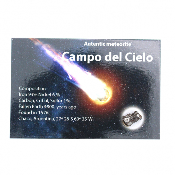 Campo del Cielo meteorite