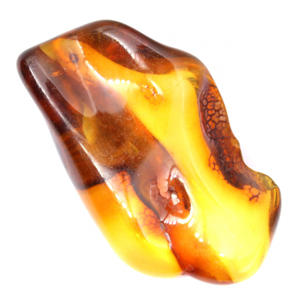 Amber specimen