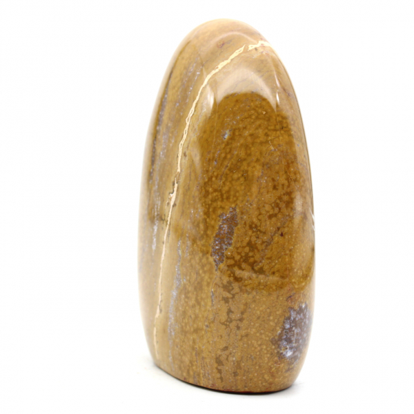 Free form in polished jasper stone