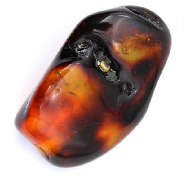 Amber specimen