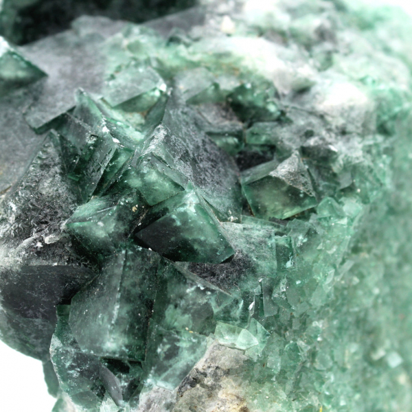 Green fluorite cubes on gangue