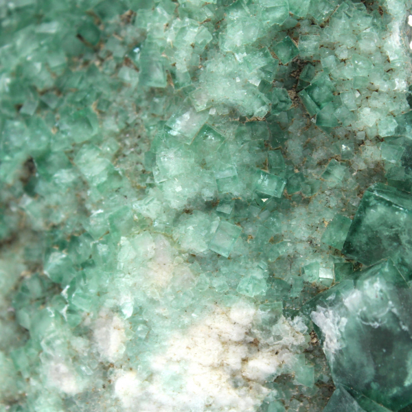 Raw fluorite crystals on gangue
