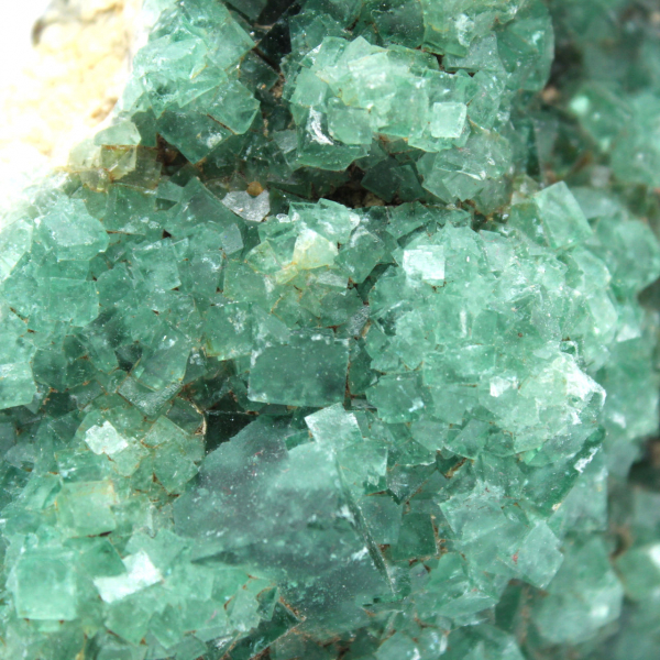 Raw green fluorite crystals on gangue