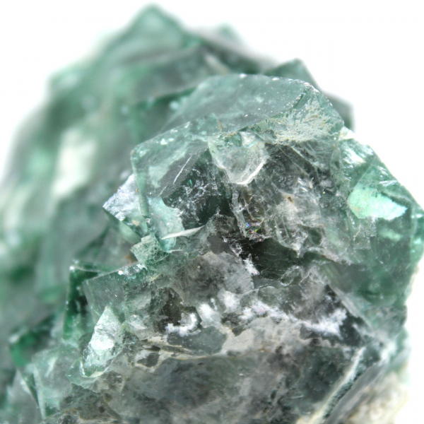 Cubic fluorite crystals on gangue