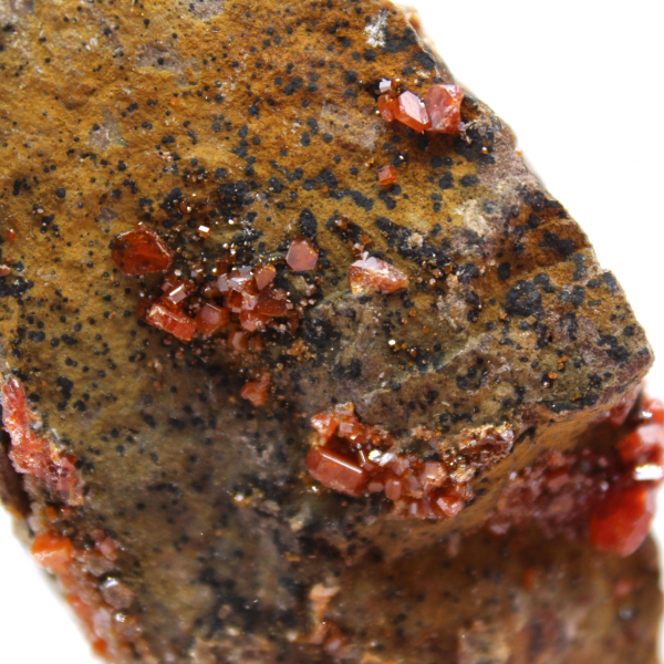 Vanadinite crystals on ganges