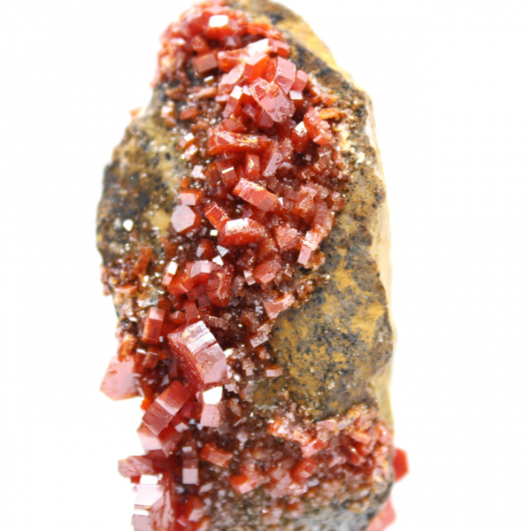 Vanadinite crystals on gangue