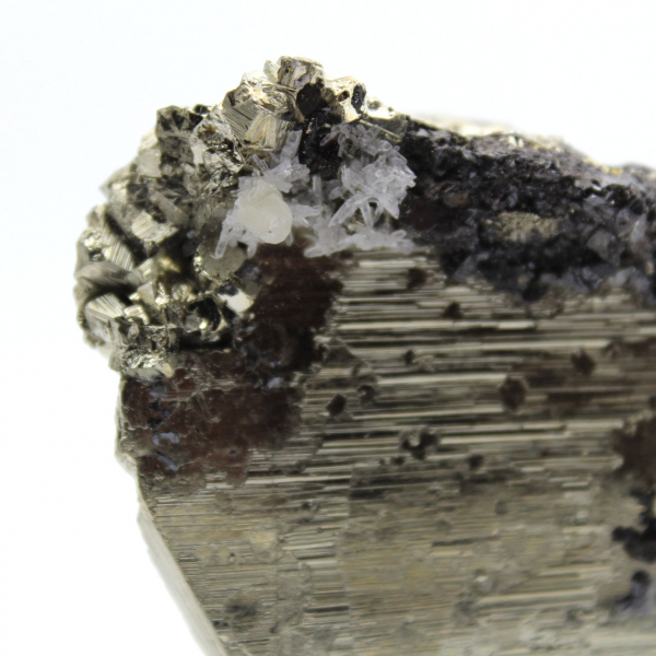 Pyrite crystals on base