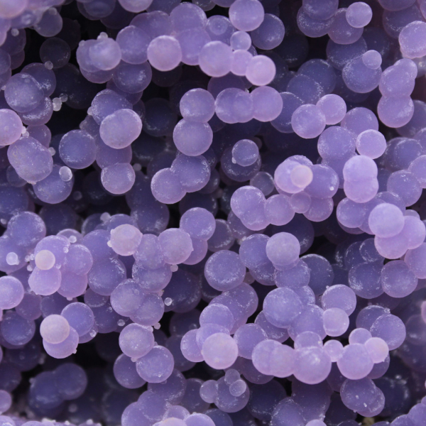 Chalcedony grape cluster