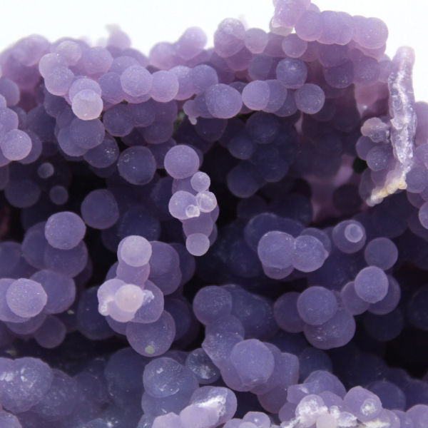 Grape Cluster Chalcedony