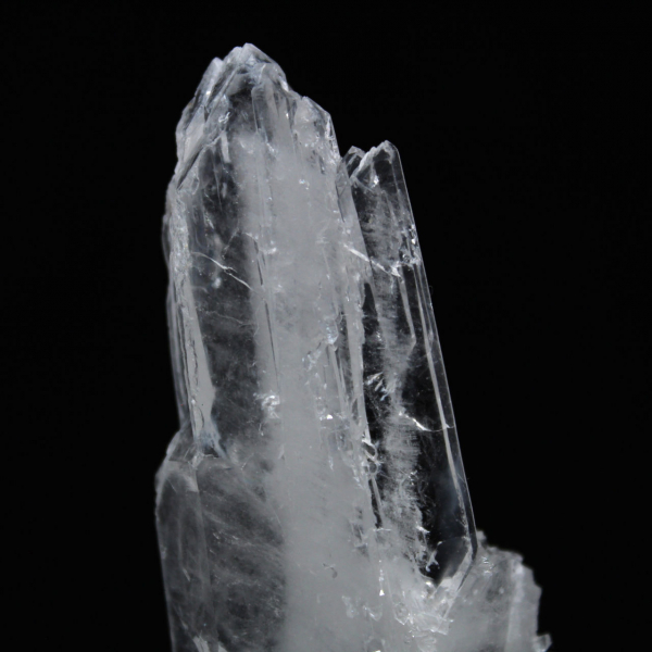 Quartz Pakistan