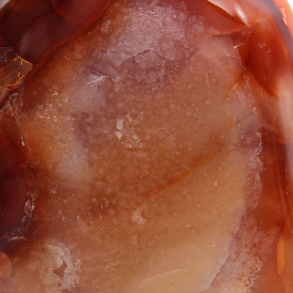 Natural Collector Carnelian