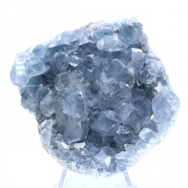 Celestite Crystals