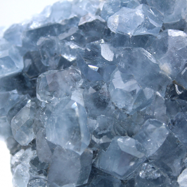 Celestite Crystals