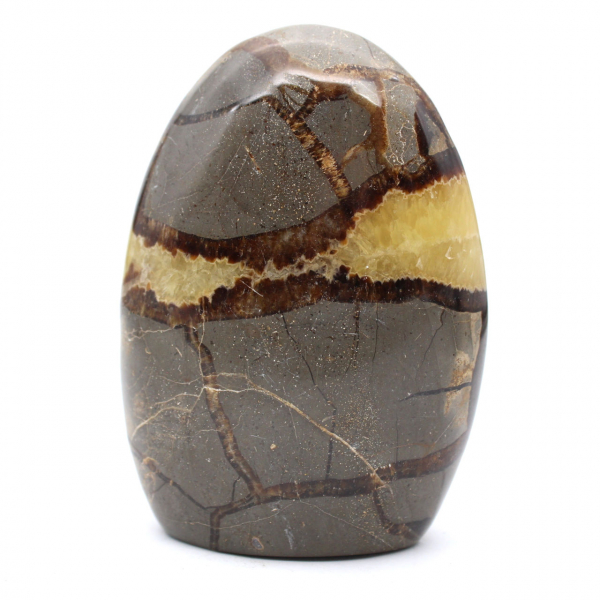 Polished Septaria stone from Madagascar