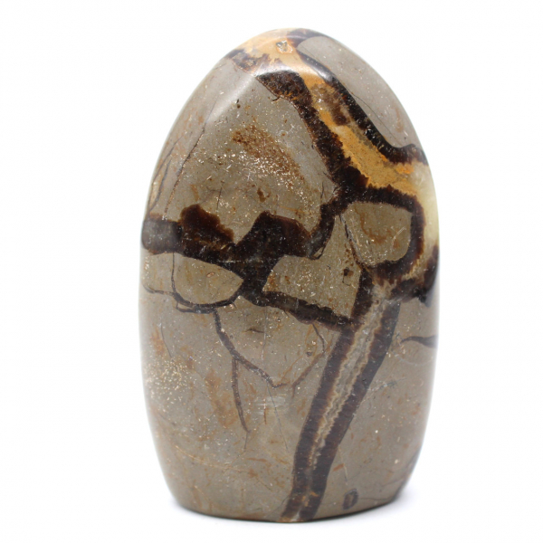 Polished Septaria stone