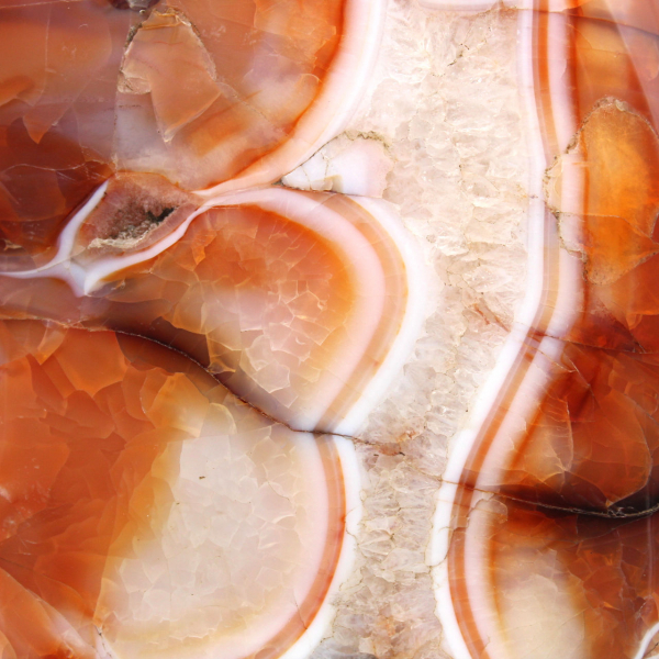 Large carnelian