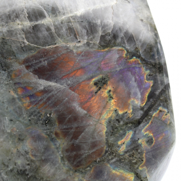 Madagascar polished spectrolite